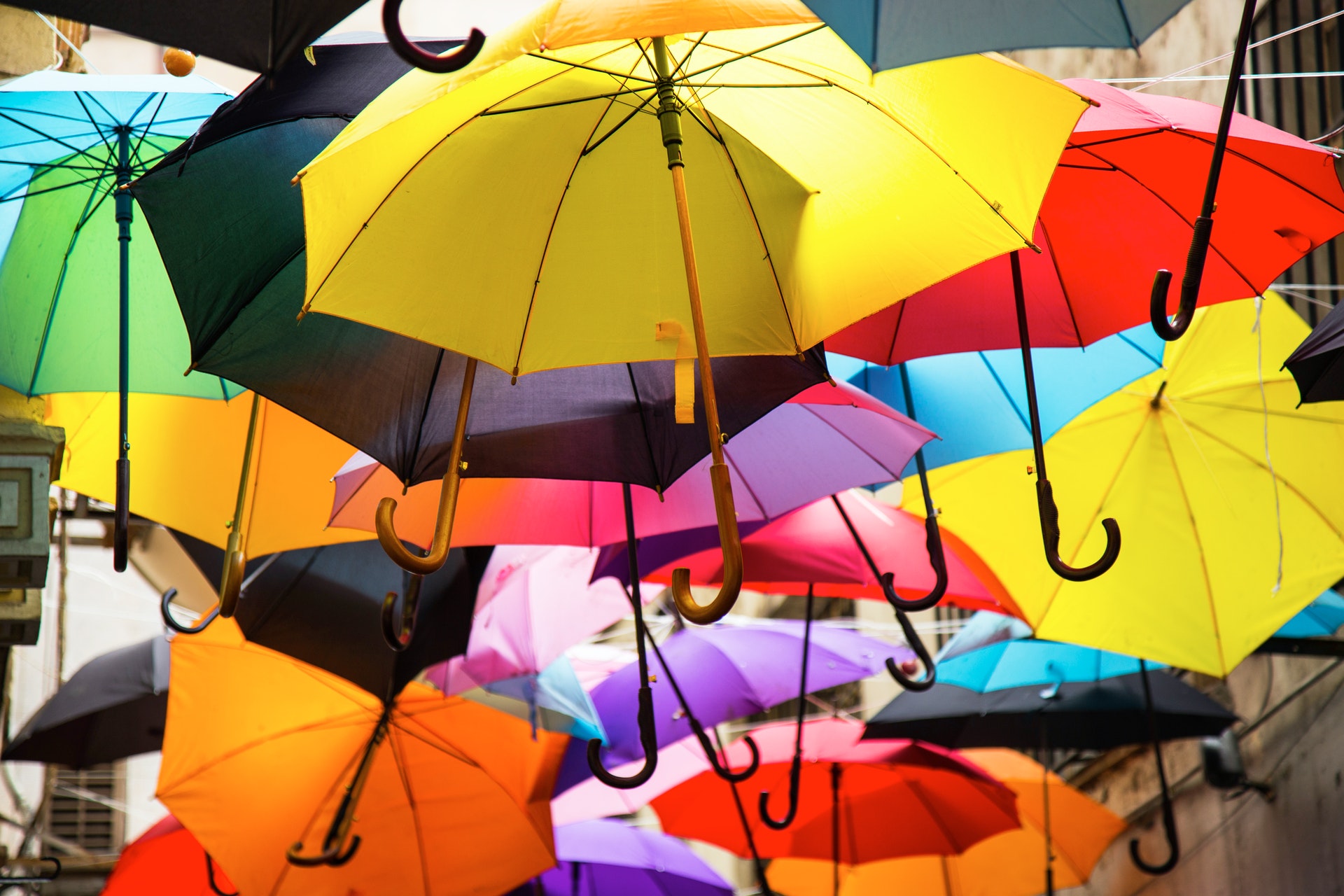 Vrijgevig uitvoeren mozaïek Paraplu met logo - Paraplu met logo